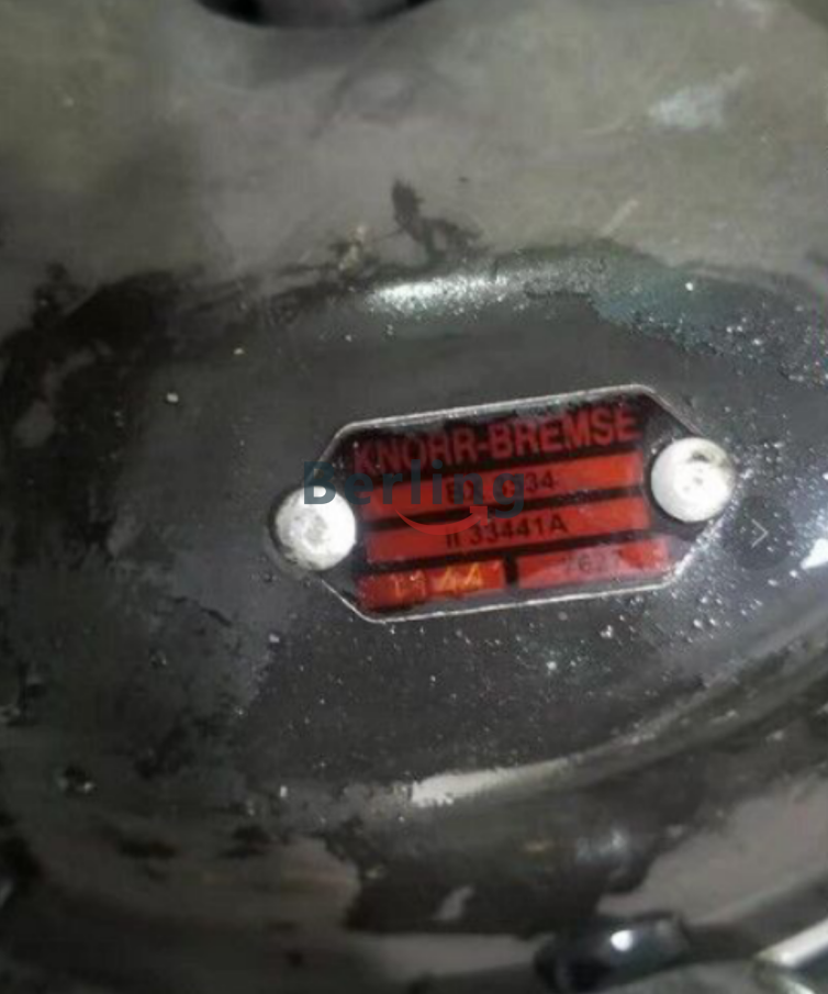 德國BUHLER液位開關(guān)NS25/25 AMSK661 L1=1000  