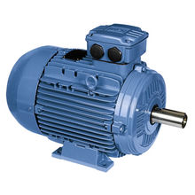 美國EIM電機(jī)
