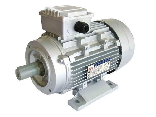 德國(guó)ELBTALWERK異步電機(jī)