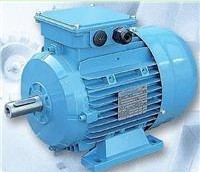 供應(yīng)原廠T-T Electric電機(jī)