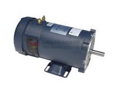 美國(guó)LEESON ELECTRIC交流電機(jī)
