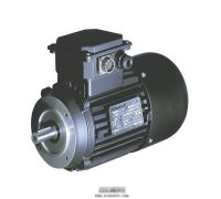 意大利CARPANELLI特殊電機(jī)