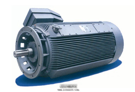 荷蘭DUTCHI防滴式中高壓/低壓電機(jī)