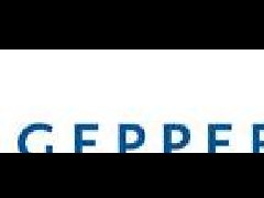 德國GEPPERT攪拌器