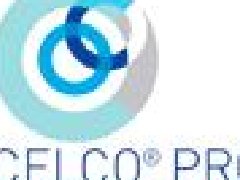 意大利CELCO PROFIL集電環(huán)