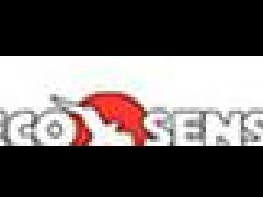 美國ECO Sensors臭氣監(jiān)測儀
