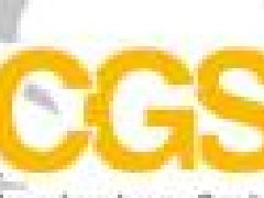 德國CGS過濾器