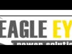 美國(guó)Eagle Eye電池測(cè)試儀