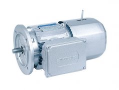 德國Mini motor 單項電機