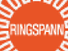 供應(yīng)德國RINGSPANN軸承
